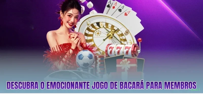 Bônus exclusivos membros VIP 716bet